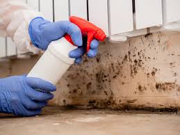 Best Comprehensive Air Testing for Mold Contaminants  in Welsh, LA